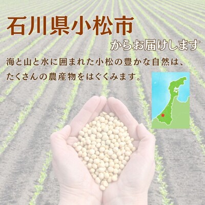 【先行予約】大豆 2.5kg 豆 イソフラボン おやつ おつまみ 味噌作り