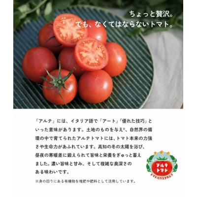 〈2027年1月より順次発送〉アルテトマト 約1.6kg(約800g×2箱) フルーツトマト