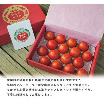 〈2027年1月～発送〉アルテトマト 約1.6kg(約800g×2箱)×3回定期便 フルーツトマト 