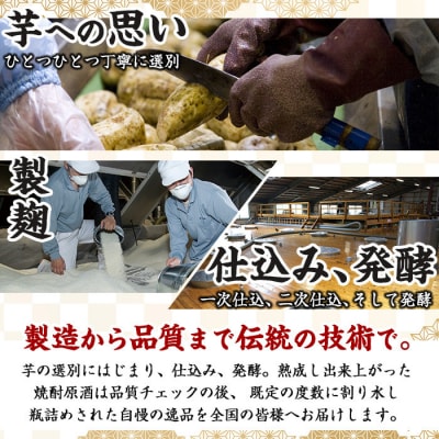 岩川醸造の本格芋焼酎8.0リットルペットセット!!(西郷が里等)