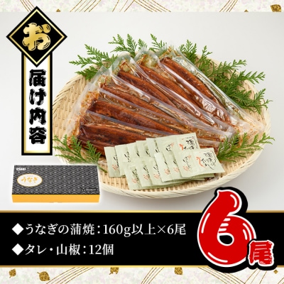 無投薬!鹿児島県産うなぎ蒲焼セット<特上>(計960g・ 約160g以上×6尾) タレ・山椒付