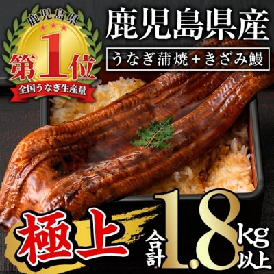 鹿児島県産うなぎ蒲焼きざみセット<極上>(160～236g×7尾　きざみ鰻50g×10袋　タレ・