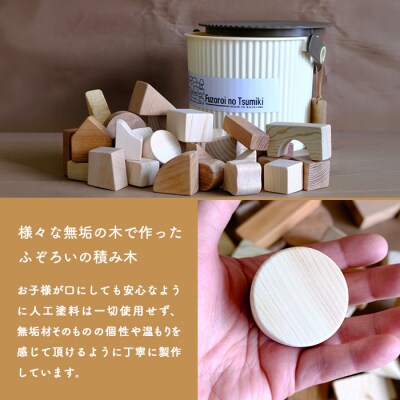 ふぞろいのつみき 積み木 約35個・メジロ、カレイのモチーフ積み木 各1個付