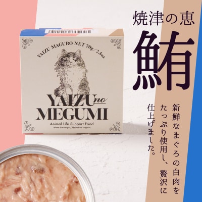 ペット フード 猫 焼津の恵 70g缶 鰹 鮪 計10缶(a10-832)