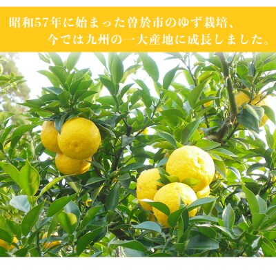 ゆず吉くん合計24本!!