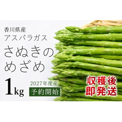 【受付開始!】2027年産 善通寺市産アスパラ「さぬきのめざめ」1kg_Z2600004
