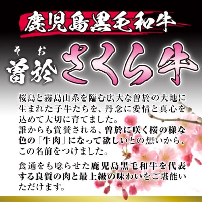 曽於さくら牛ロース肉コース合計1kg!!