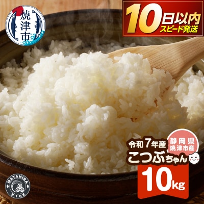 令和7年産 おいしく節約 しあわせごはん お米の小粒ちゃん 10kg(a10-1335)