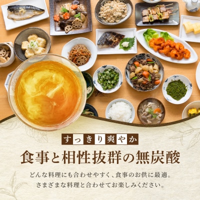 【タカラ】宝焼酎の烏龍割り(335ml×24本)|焼酎 酎ハイ 烏龍酎ハイ 人気セット