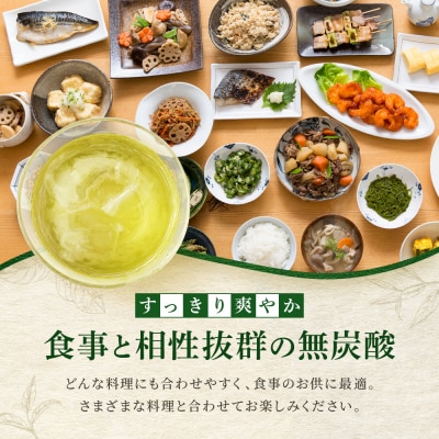 【タカラ】宝焼酎のやわらかお茶割り(480ml×24本)|焼酎 酎ハイ 緑茶酎ハイ 人気セット