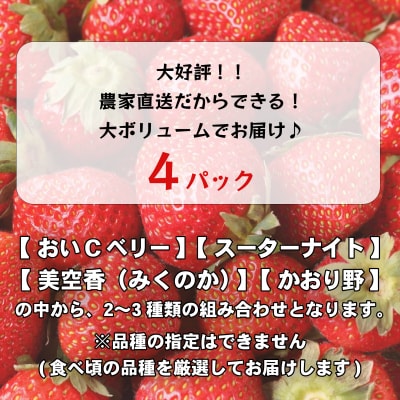 【 先行受付 2027年1月中旬以降発送 】農家直送 八千代町産 いちご 4パック[AJ002ya]