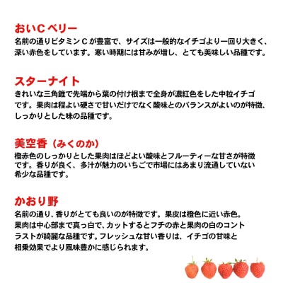 【 先行受付 2027年1月中旬以降発送 】農家直送 八千代町産 いちご 4パック[AJ002ya]