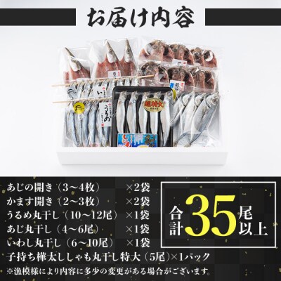 干物三昧セット (合計35尾以上・6種) 