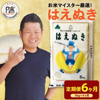 【先行予約】6ヶ月定期便 令和8年産 はえぬき 5kg × 6回 計30kg