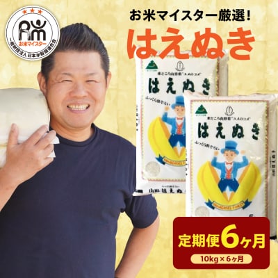 【先行予約】6ヶ月定期便 令和8年産 はえぬき 10kg × 6回 計60kg
