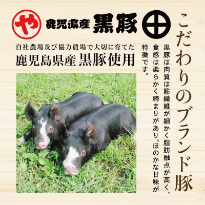 【鹿児島県産】黒豚の炭焼き焼豚3本セット 焼き豚 チャーシュー 黒豚 煮豚