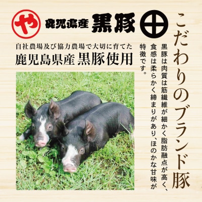 鹿児島産黒豚バラエティセット 4種(焼豚・ハム・ソーセージ)
