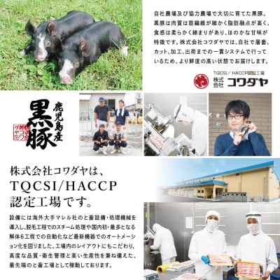 鹿児島県産 黒豚切り落とし 計1.2kg(150g×8P)[生姜焼たれ付き]