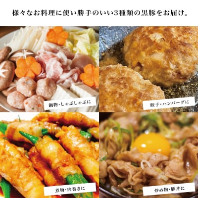 【鹿児島県産】厳選黒豚 便利な3種1.5kg(ロース、モモ、ミンチ)