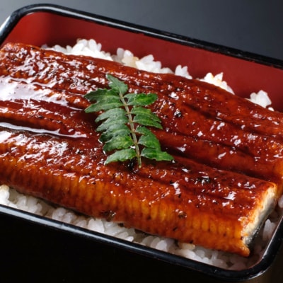 【数量限定】うなぎの蒲焼きとかつおのたたき　食べ比べセット(カット済)