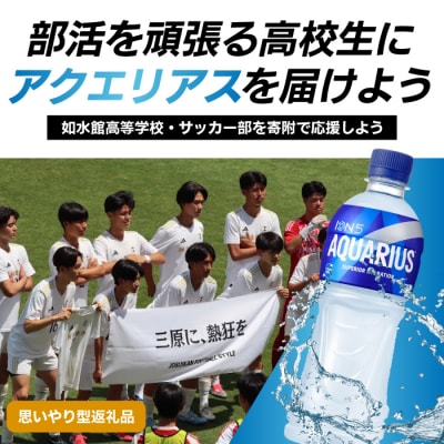 【思いやり型返礼品】アクエリアス500ml×24本(1箱) [N001]