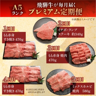 【定期便5回】A5 飛騨牛 天狗 牛肉 (ステーキ / すき焼き / 焼肉 )【11-N】