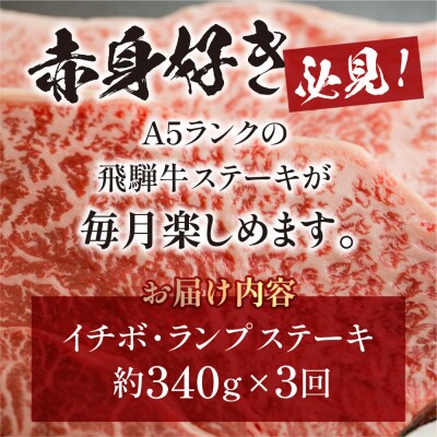 【定期便3回】A5 飛騨牛 赤身 ステーキ 定期便 360g×3回【11-P】