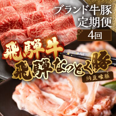 【定期便4回】 飛騨牛&納豆喰豚 お楽しみ定期便(しゃぶしゃぶ用、焼肉用)天狗 【11-T】