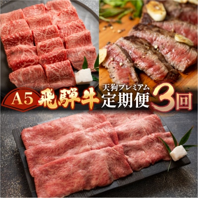 【定期便3回】 A5 飛騨牛 天狗 (ステーキ / すき焼き / 焼肉) 牛肉 赤身【11-M】