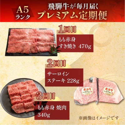 【定期便3回】 A5 飛騨牛 天狗 (ステーキ / すき焼き / 焼肉) 牛肉 赤身【11-M】