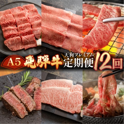 【定期便 12回】A5 飛騨牛 天狗 牛肉 ステーキ 焼肉 すきやき しゃぶしゃぶ【11-O】