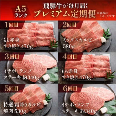 【定期便 12回】A5 飛騨牛 天狗 牛肉 ステーキ 焼肉 すきやき しゃぶしゃぶ【11-O】