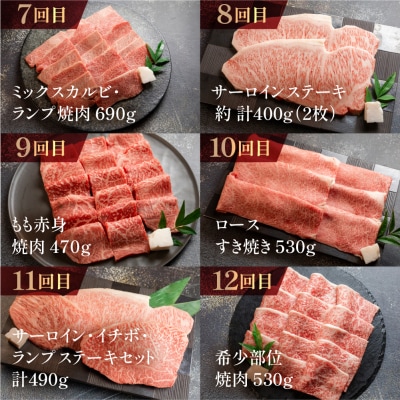 【定期便 12回】A5 飛騨牛 天狗 牛肉 ステーキ 焼肉 すきやき しゃぶしゃぶ【11-O】