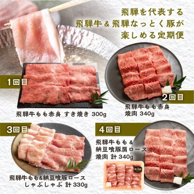 【定期便 4回】飛騨牛&なっとく豚  牛肉 / 豚肉 食べ比べ しゃぶしゃぶ 焼肉【tc1】