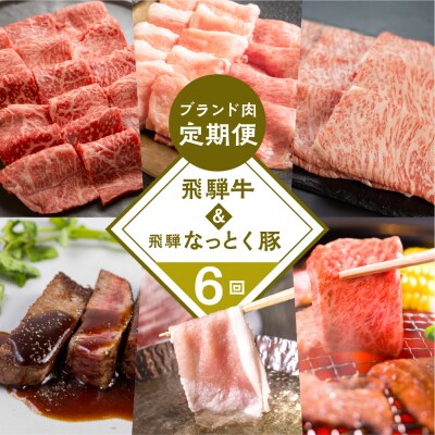 【定期便6回】 飛騨牛 & なっとく豚 ブランド焼肉 豚しゃぶ 赤身 牛肉 豚肉【tc2】
