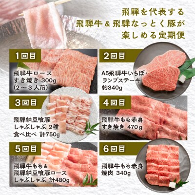 【定期便6回】 飛騨牛 & なっとく豚 ブランド焼肉 豚しゃぶ 赤身 牛肉 豚肉【tc2】
