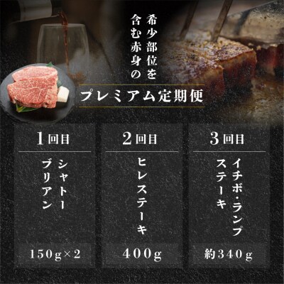 【定期便3回】飛騨牛 赤身 ステーキ プレミアム お楽しみ 2人前 ふたり用 【tc3】