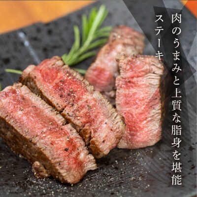 【定期便3回】飛騨牛 赤身 ステーキ プレミアム お楽しみ 2人前 ふたり用 【tc3】