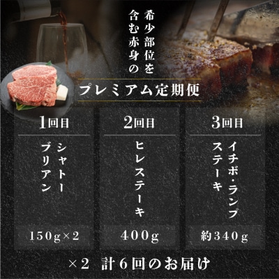 【定期便 6回】飛騨牛 赤身 ステーキ 6回 定期便 プレミアム【tc4】