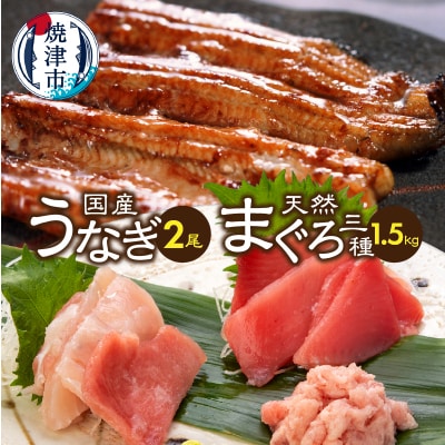 国産うなぎ鰻　バチマグロビンチョウマグロまぐろたたき　総重量約1.9kg(a35-017)