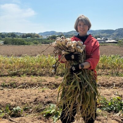 黒にんにく・にんにく塩麹・にんにくの芽みそ 3種セット【むなかたひかり】_HA2054