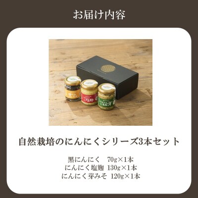 黒にんにく・にんにく塩麹・にんにくの芽みそ 3種セット【むなかたひかり】_HA2054