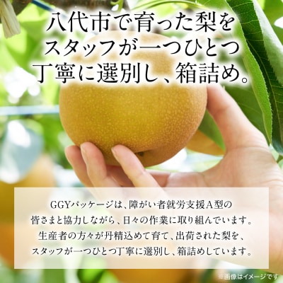 秋月梨 約5kg(6～22玉)_171-4411-D