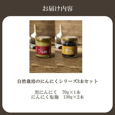 黒にんにく・にんにく塩麹の2種セット(自然栽培のにんにくシリーズ)【むなかたひかり】_HA2055