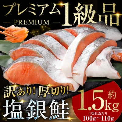 【 訳あり 】 プレミアム1級品 厚切り塩銀鮭 切り身 1.5kg