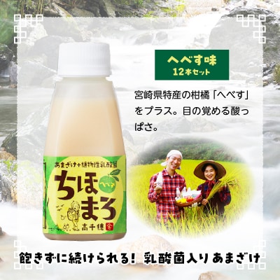 乳酸菌入りあまざけ ちほまろ 150g　12本セット【へべすのみ】