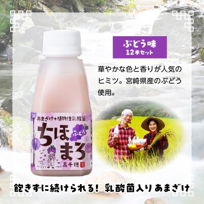乳酸菌入りあまざけ ちほまろ 150g　12本セット【ぶどうのみ】
