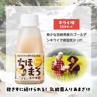 乳酸菌入りあまざけ ちほまろ 150g　12本セット【キウイのみ】