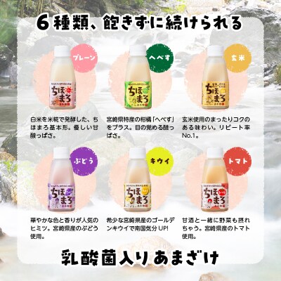 乳酸菌入りあまざけ ちほまろ 150g　30本【プレーン へべす 玄米 キウイ トマト ブドウ】