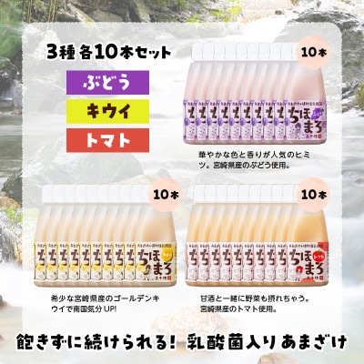 乳酸菌入りあまざけ ちほまろ 150g　30本セット【キウイ トマト ぶどう】